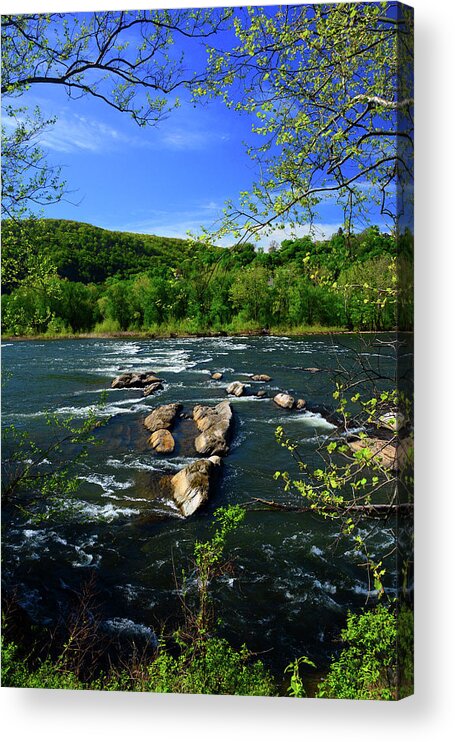 Potomac River Rapids Acrylic Print featuring the photograph Potomac River Rapids #2 by Raymond Salani III