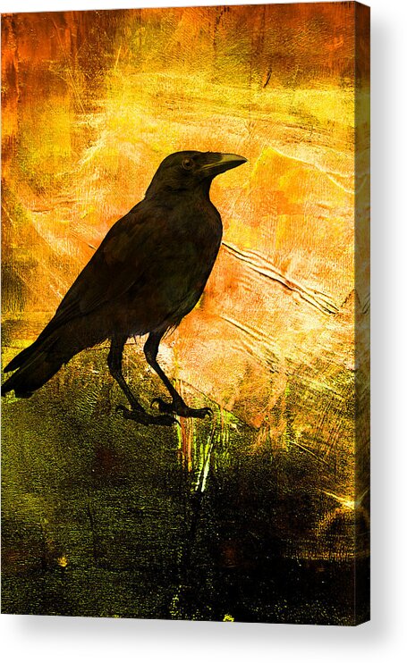 Raven Acrylic Print featuring the digital art Morning Watch by Nancy Merkle