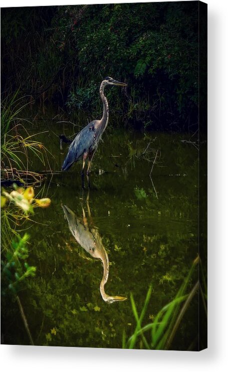  Acrylic Print featuring the photograph Reflect. by Kendall McKernon