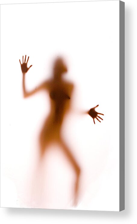 Silhouette Acrylic Print featuring the photograph Silhouette 14 by Michael Fryd
