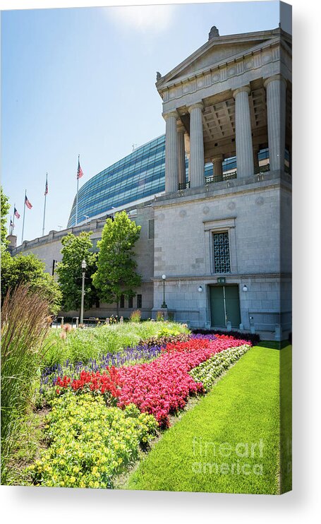Chicago Acrylic Print featuring the photograph Soldier Field by David Levin