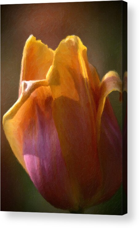 Tulip Acrylic Print featuring the painting Tulip #1 by Prince Andre Faubert
