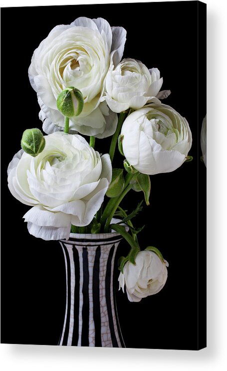 White Ranunculus Flower Vase Floral Acrylic Print featuring the photograph White ranunculus in black and white vase #2 by Garry Gay