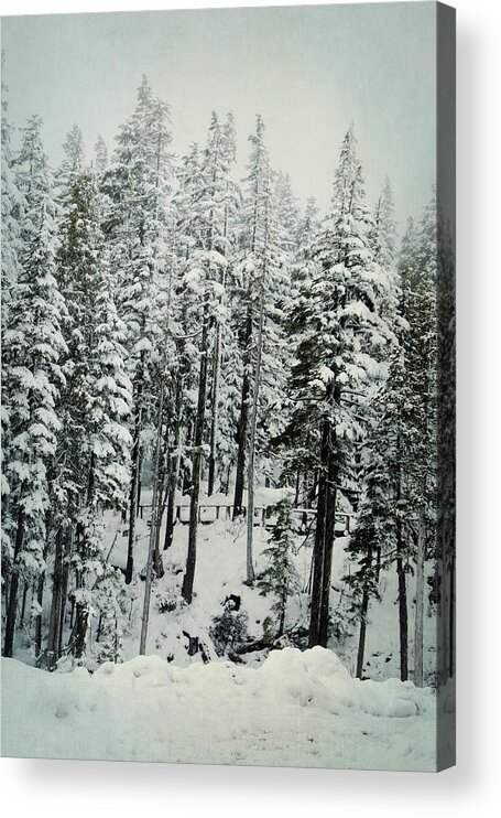 Winter Acrylic Print featuring the photograph Through the Woods by Marilyn Wilson
