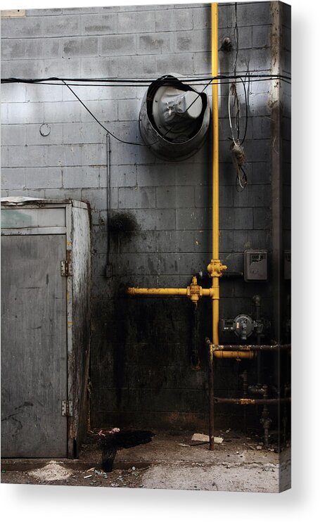 Yellow Acrylic Print featuring the photograph Yellow Is Lonely In Filth #1 by Kreddible Trout