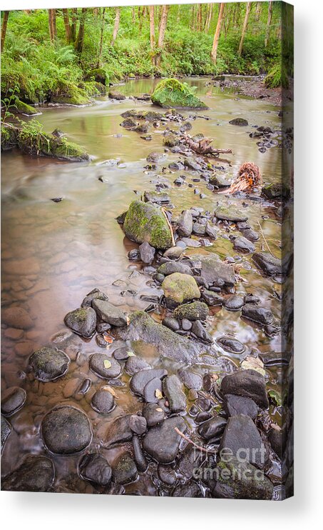 Airedale Acrylic Print featuring the photograph Goit Stock Falls on Harden Beck, #10 by Mariusz Talarek