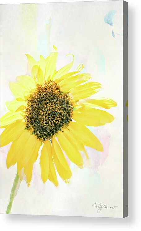  Sunflower Acrylic Print featuring the photograph 10845 Sunflower by Pamela Williams