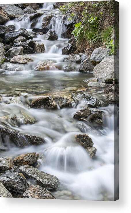 Water Acrylic Print featuring the photograph 151105p042 by Arterra Picture Library