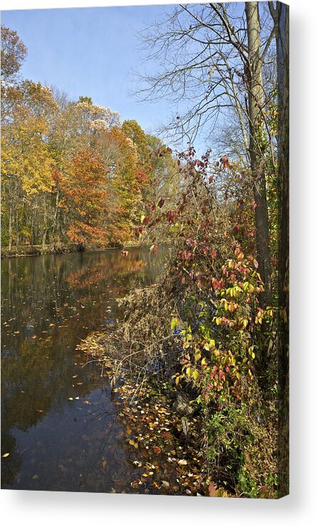 Autumn Acrylic Print featuring the photograph Autumn Colors on the Canal by David Letts