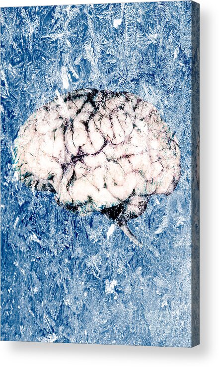 Brain Acrylic Print featuring the photograph Brain Freeze #2 by George Mattei