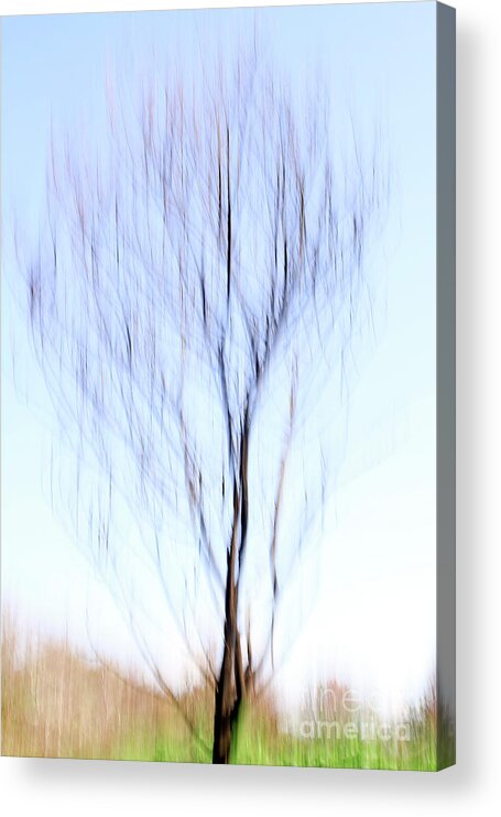 Motion Acrylic Print featuring the photograph Motion blurred trees #2 by Vladi Alon