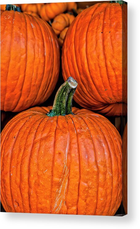 Pumpkin Acrylic Print featuring the photograph Pumpkin #2 by Robert Ullmann