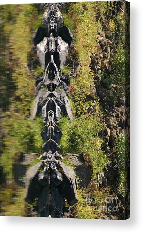 River Acrylic Print featuring the photograph River Guardians #2 by Marie Neder