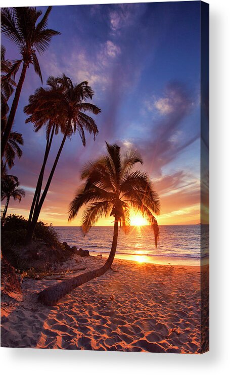 Maui Hawaii Seascape Sunset Palmtrees Ocean Beach Acrylic Print featuring the photograph Lonely Palm #3 by James Roemmling