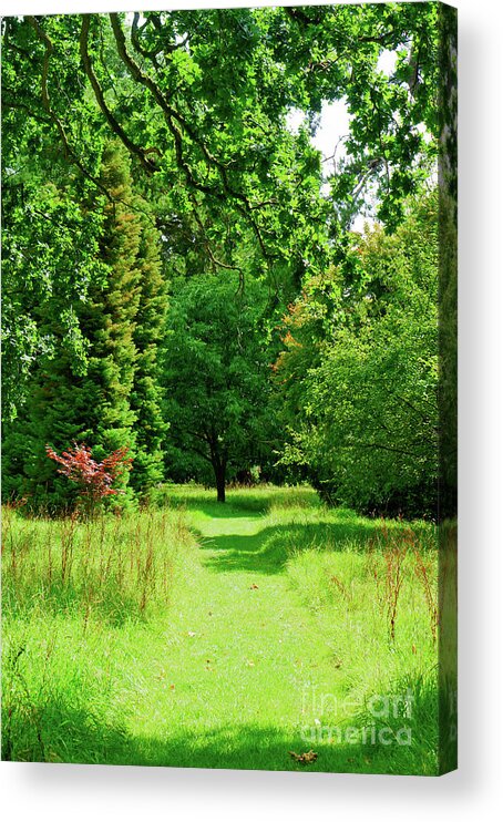 Adventure Acrylic Print featuring the photograph Parkland scene #3 by Tom Gowanlock