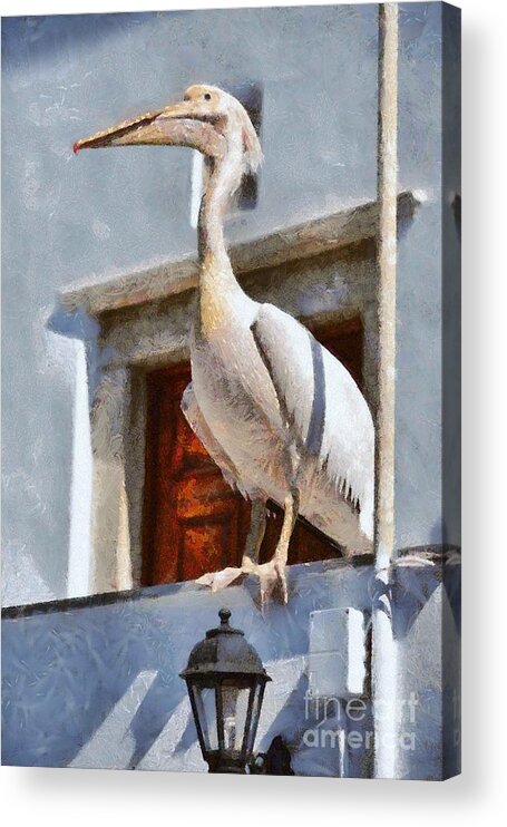 Pelican; Pelicans; Bird; Birds; Tinos Acrylic Print featuring the painting Pelican #5 by George Atsametakis
