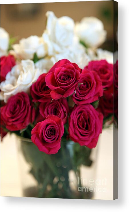 Rose Acrylic Print featuring the photograph Roses #3 by Amanda Barcon