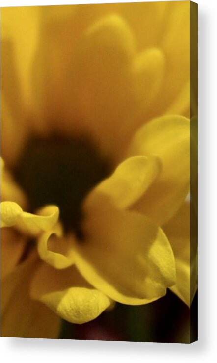 Yellow Acrylic Print featuring the photograph Flowers #33 by Deena Withycombe