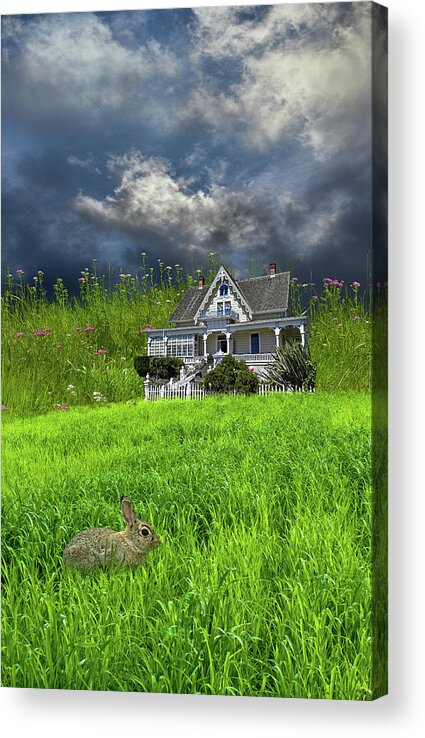 Elves Acrylic Print featuring the photograph 4379 by Peter Holme III