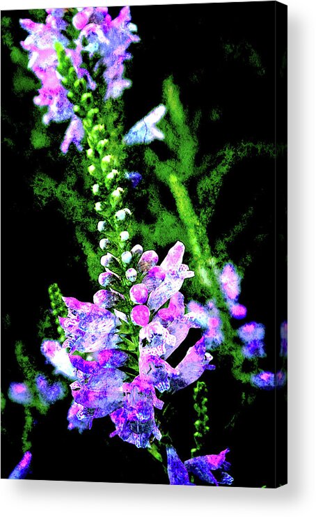 Texture Acrylic Print featuring the photograph Texture Flowers #44 by Prince Andre Faubert