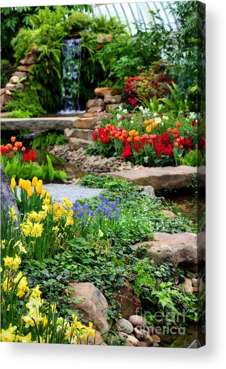 Waterfall Acrylic Print featuring the photograph Botanical Gardens #7 by Angela Rath