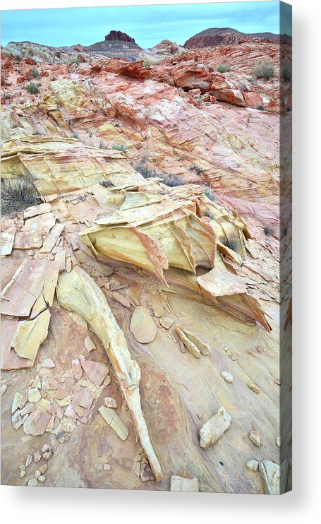Valley Of Fire Acrylic Print featuring the photograph Valley of Fire #602 by Ray Mathis