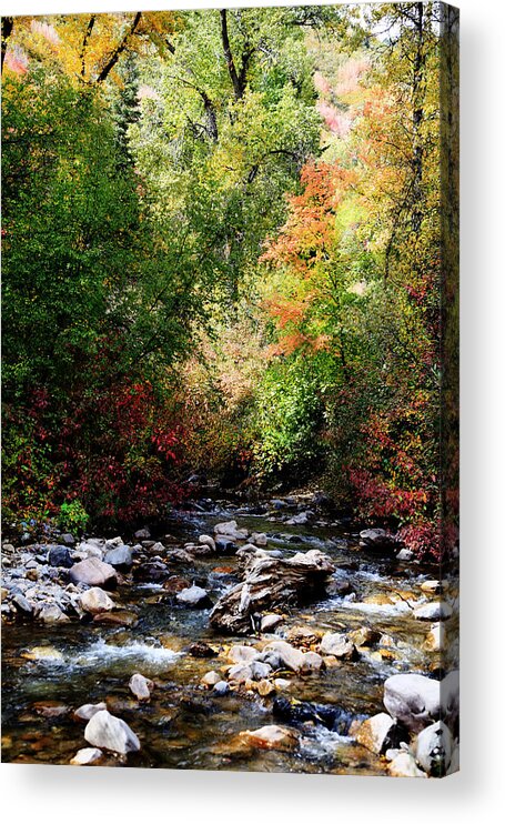 Autumn Acrylic Print featuring the photograph Rocky Mountain Fall #62 by Mark Smith