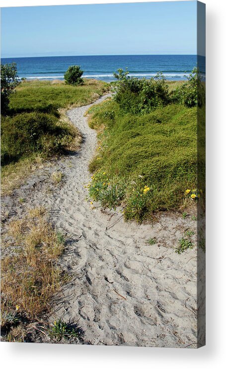 Beach Acrylic Print featuring the photograph Beach walkway 7 by Les Cunliffe