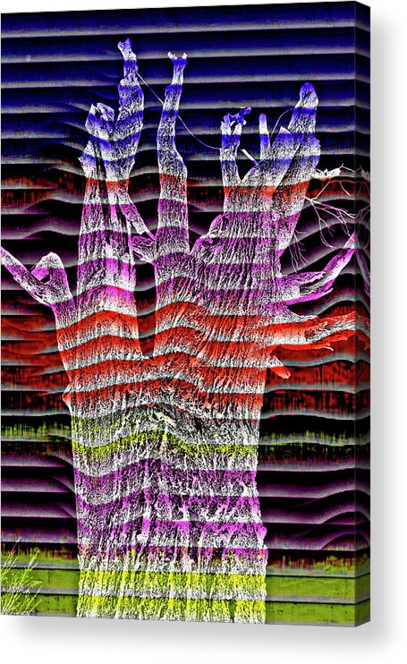 Abstract Acrylic Print featuring the photograph 8102-1 by Burney Lieberman