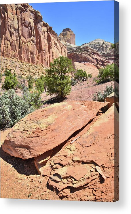 Capitol Reef National Park Acrylic Print featuring the photograph Golden Throne #8 by Ray Mathis