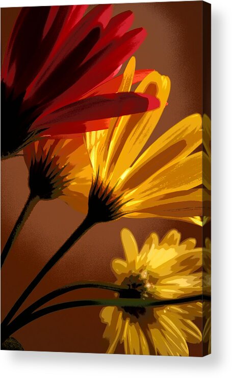 Flower Acrylic Print featuring the photograph A Bunch of Beauties by Julie Lueders 