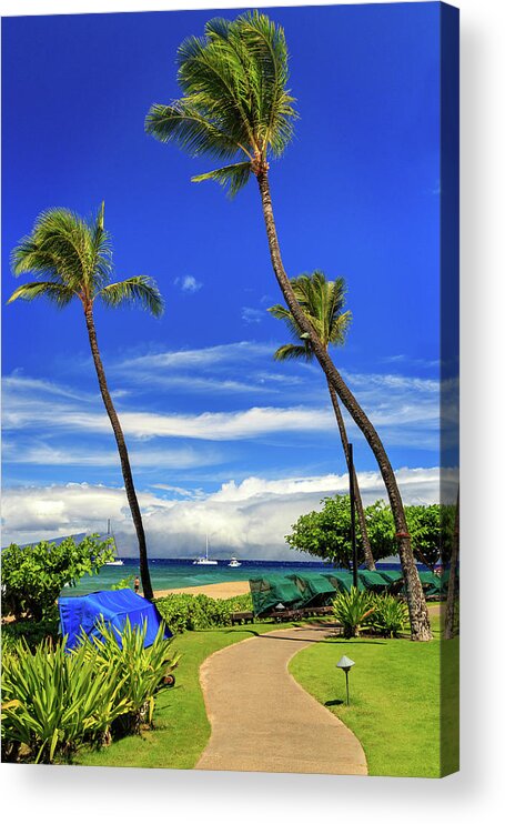 Path Acrylic Print featuring the photograph A Path In Kaanapali by James Eddy