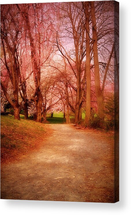 Cherry Blossom Trees Acrylic Print featuring the photograph A Path To Fantasy - Holmdel Park by Angie Tirado