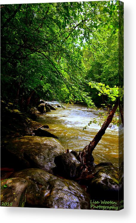 A Peaceful Place Acrylic Print featuring the photograph A Peaceful Place by Lisa Wooten