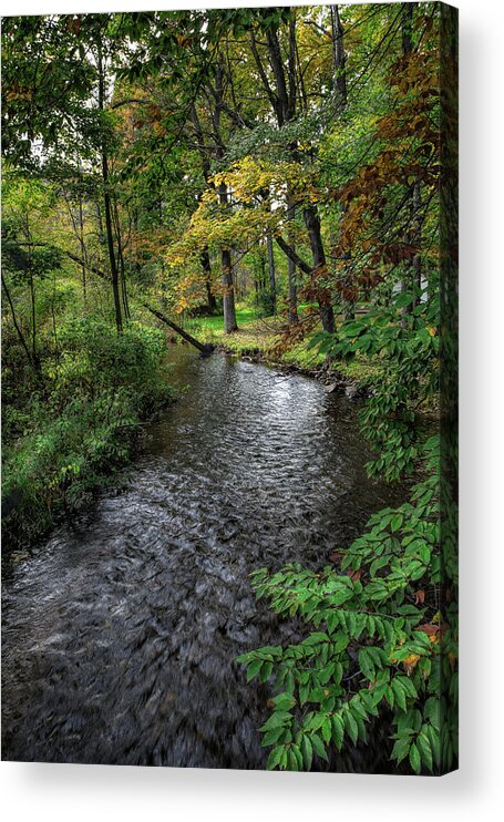 Landscape Acrylic Print featuring the photograph A Secluded Little Creek by John M Bailey