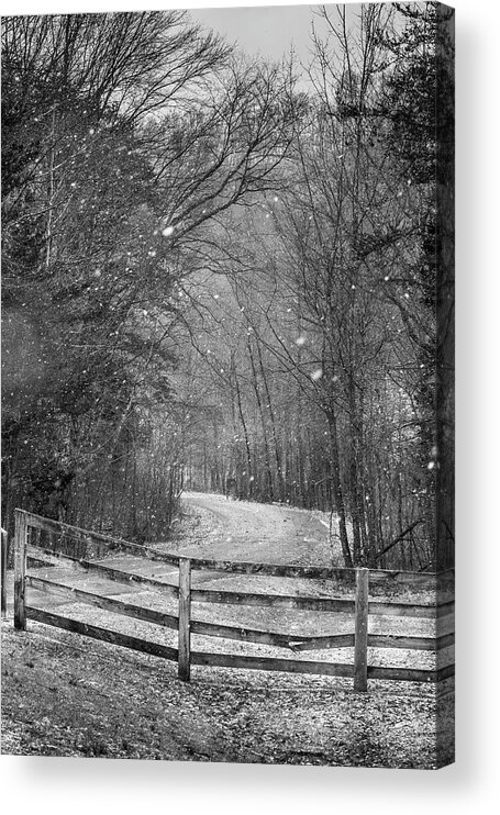 Daniel Boone National Forrest Acrylic Print featuring the photograph A Snowy Lane by Randall Evans