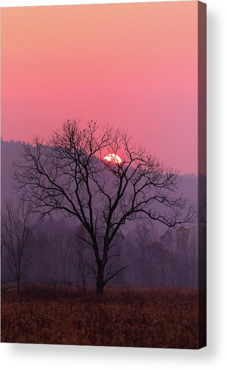 Sunset Acrylic Print featuring the photograph A Tennessee Sunset by Duane Cross