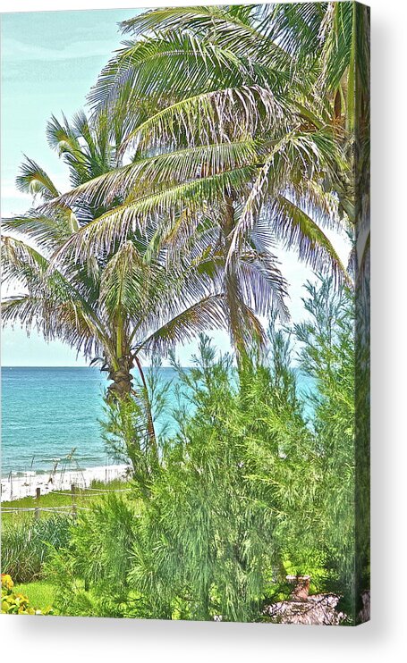 Ocean Acrylic Print featuring the photograph A View From Palm Beach by Lauren Serene
