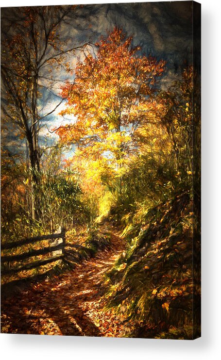 Fall Acrylic Print featuring the digital art The Lighted Path by John Haldane