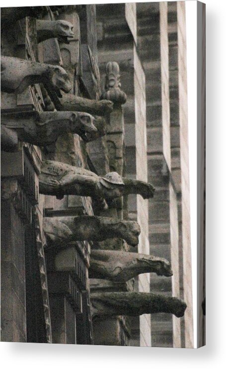 Gargoyles Acrylic Print featuring the photograph A Wall of Gargoyles Notre dame cathedral by Christopher J Kirby