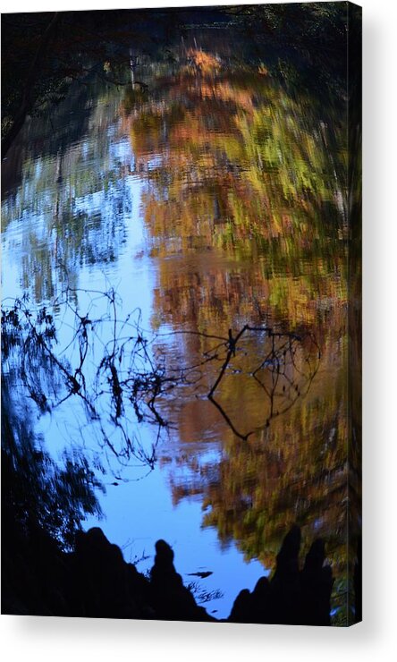 Abstract Fall Fisheye Acrylic Print featuring the photograph Abstract Fall Fisheye by Warren Thompson