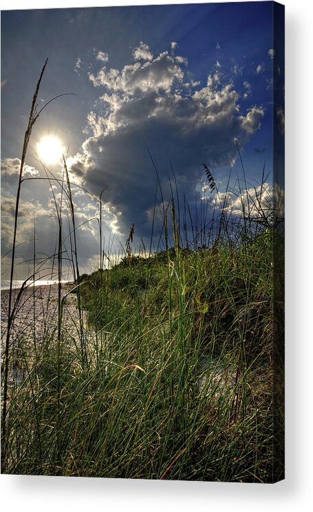 Sanibel Island Acrylic Print featuring the photograph Afternoon At A Sanibel Dune by Greg and Chrystal Mimbs