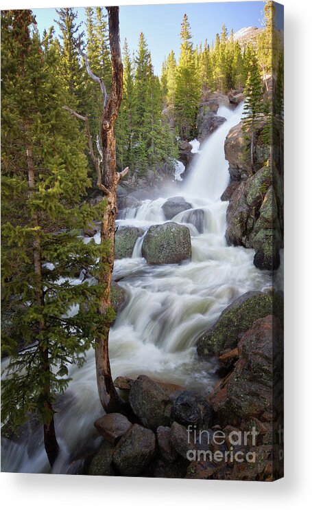 Alberta Falls Acrylic Print featuring the photograph Alberta Falls in Rocky Mountain National Park by Ronda Kimbrow