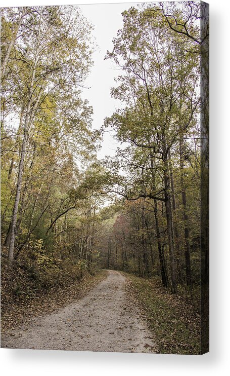 Pathway Acrylic Print featuring the photograph Along the Trail by Allen Nice-Webb