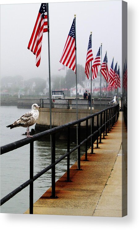 Landscape Acrylic Print featuring the photograph American Seagull by Mary Capriole