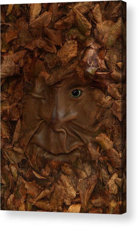 Autumn Acrylic Print featuring the photograph An Eye On Autumn by Robin-Lee Vieira