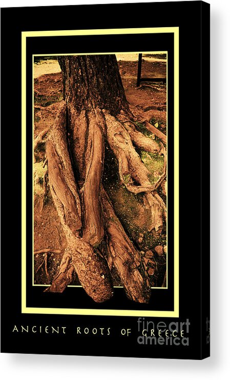 Greece Acrylic Print featuring the photograph Ancient Roots Of Greece by Madeline Ellis
