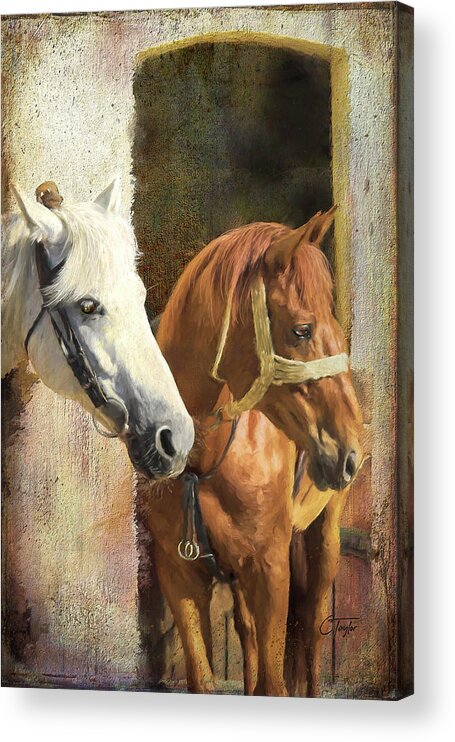 Horses Acrylic Print featuring the digital art Anticipation by Colleen Taylor