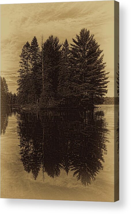 Sepia Acrylic Print featuring the photograph Antique Boom Lake Pines by Dale Kauzlaric