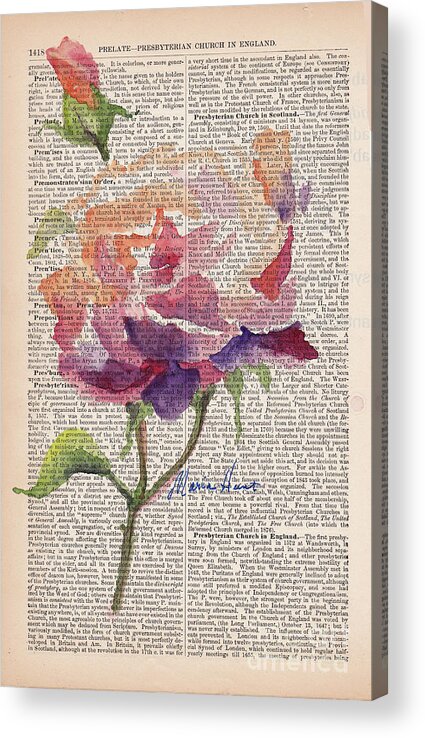 Antique Paper Acrylic Print featuring the painting Antique Rose On Antique Paper by Maria Hunt